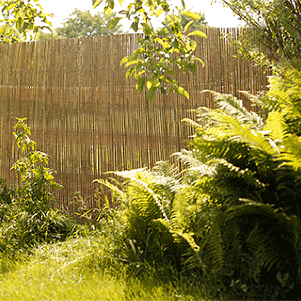 zoek bamboe tuinscherm? Shop op Livn.nl