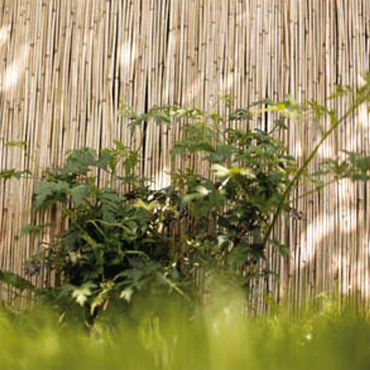 Balkonscherm riet Peking 90x300cm